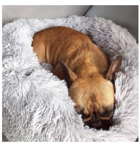 Round Plush Pet Bed for Small Dogs & Cats – Cozy Nest Mat for Puppies and Kittens